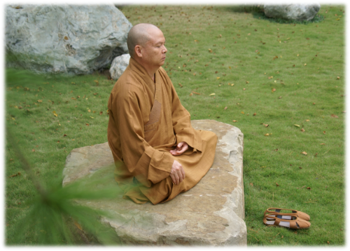 四念處禪修 2月19~25日